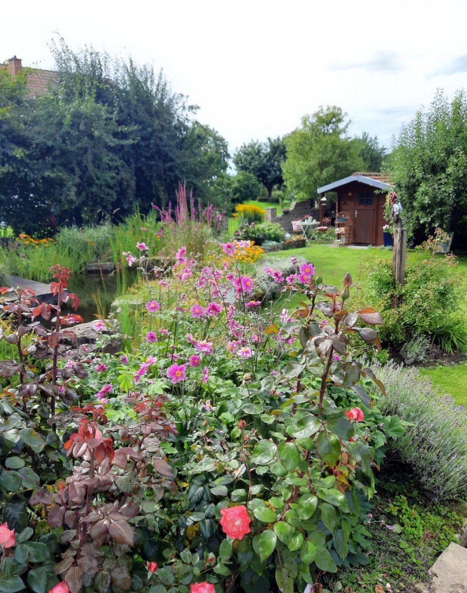 Garten Einfamilienhaus Paderborn / Benhausen